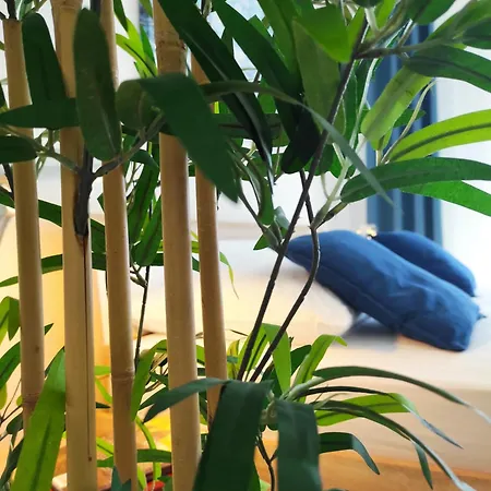 Apartman Punta Faro *